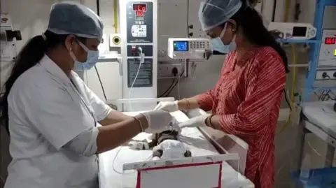 Newborn Buried Alive in the Country Battles for Existence